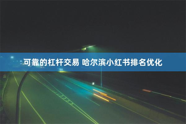 可靠的杠杆交易 哈尔滨小红书排名优化