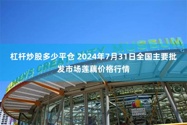 杠杆炒股多少平仓 2024年7月31日全国主要批发市场莲藕价格行情