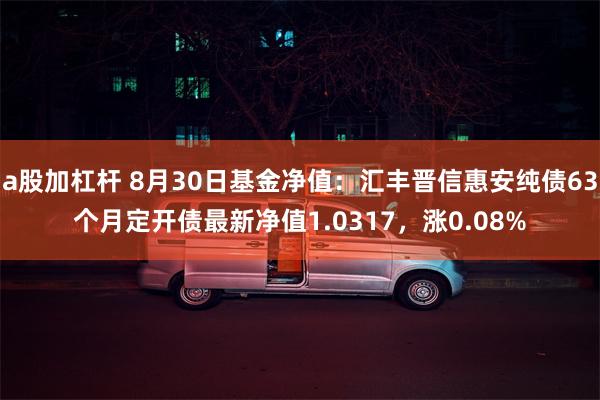 a股加杠杆 8月30日基金净值：汇丰晋信惠安纯债63个月定开债最新净值1.0317，涨0.08%