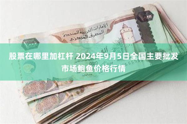 股票在哪里加杠杆 2024年9月5日全国主要批发市场鲍鱼价格行情