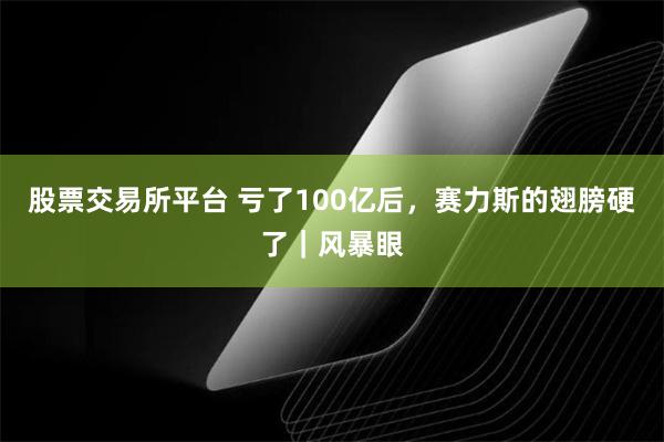 股票交易所平台 亏了100亿后，赛力斯的翅膀硬了｜风暴眼