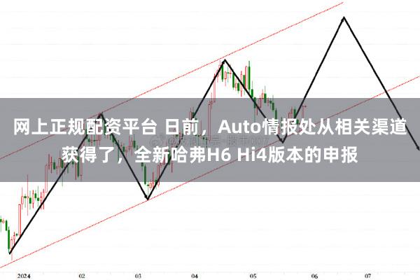 网上正规配资平台 日前，Auto情报处从相关渠道获得了，全新哈弗H6 Hi4版本的申报