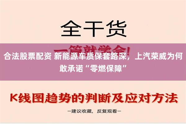 合法股票配资 新能源车质保套路深，上汽荣威为何敢承诺“零燃保障”