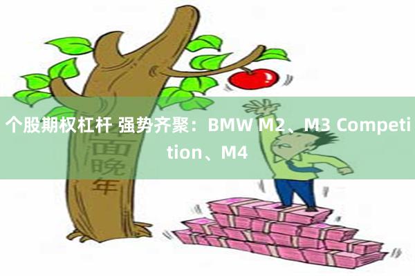 个股期权杠杆 强势齐聚：BMW M2、M3 Competition、M4