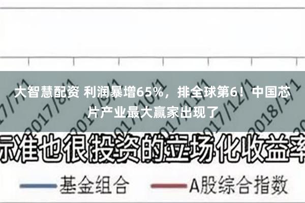 大智慧配资 利润暴增65%，排全球第6！中国芯片产业最大赢家出现了