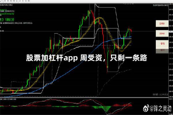 股票加杠杆app 周受资，只剩一条路