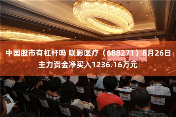 中国股市有杠杆吗 联影医疗（688271）8月26日主力资金净买入1236.16万元