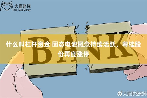 什么叫杠杆资金 固态电池概念持续活跃，粤桂股份再度涨停