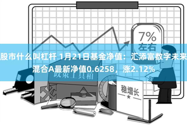 股市什么叫杠杆 1月21日基金净值：汇添富数字未来混合A最新净值0.6258，涨2.12%